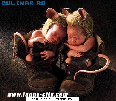 :) pe aici..
