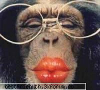 pe aici.. - didi_diana - POZE FUNNY